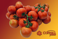 Coppola Farms 'TOV' Tomatoes On The Vine