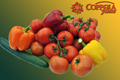 Coppola Farms Fresh Quality Vegetables