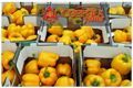 Coppola Farms Yellow Bell Peppers