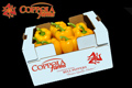 Coppola Farms Yellow Bell Peppers
