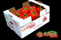 Coppola Farms Red Bell Peppers
